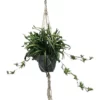 Cooper & Co 90cm Artificial Spider Leaf Hanging Potted Plant