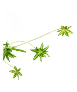 Cooper & Co 90cm Artificial Spider Leaf Hanging Potted Plant -Home Decor Shop 803746540 3 720x928