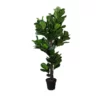 Koala Living Fiddle Leaf Tree 190cm