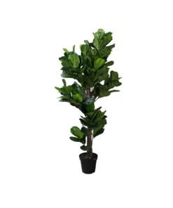 Koala Living Fiddle Leaf Tree 190cm