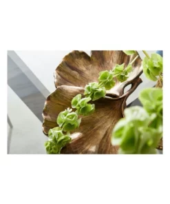 Koala Living Antique Gold Gingko Leaf Plate -Home Decor Shop 804652390 4 720x928