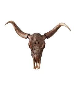 Koala Living Carved Skull Wall Hanging