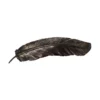 Koala Living Black Feather Wall Art Pre-Order