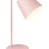 Lexi Lighting Mak Metal Desk Lamp Pink