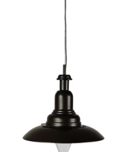 Oriel Lighting Capple Rubbed Bronze Industrial Pendant Light