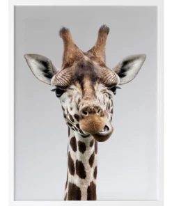 Urban Road Gerry Print White Frame