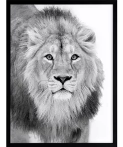 Urban Road Lion Hunt Print Black Frame