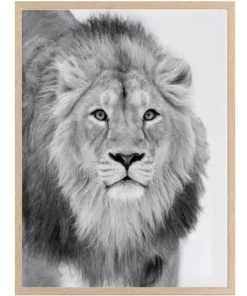 Urban Road Lion Hunt Print Oak Frame