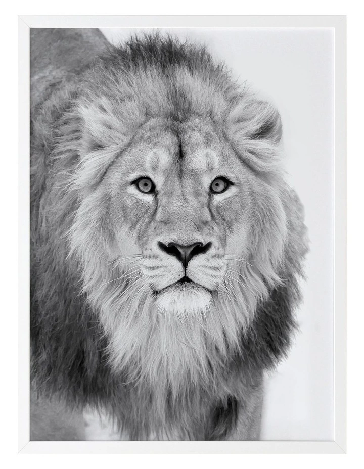 Urban Road Lion Hunt Print White Frame 1 Urban Road Lion Hunt Print White Frame