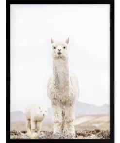 Urban Road No Drama Llama Black Frame