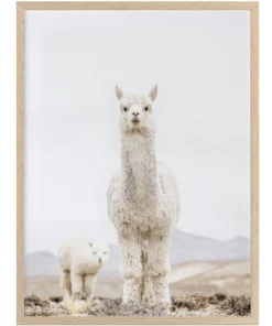 Urban Road No Drama Llama Oak Frame