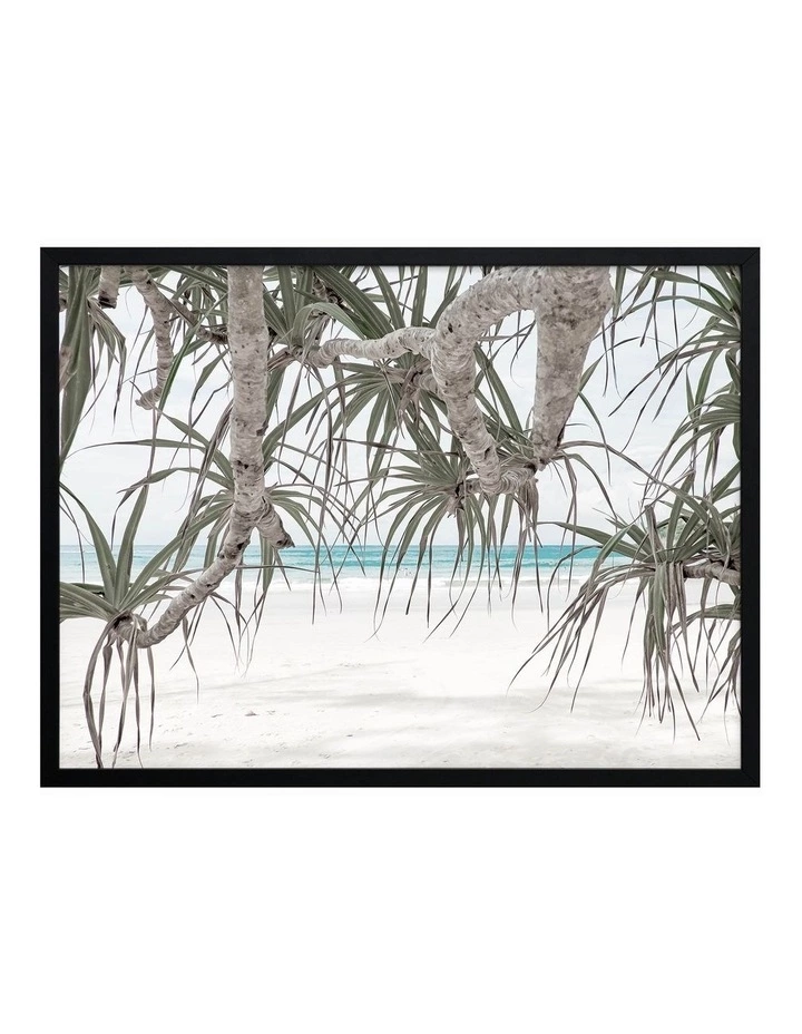 Urban Road Pandanus II Print Black Frame 1 Urban Road Pandanus II Print Black Frame