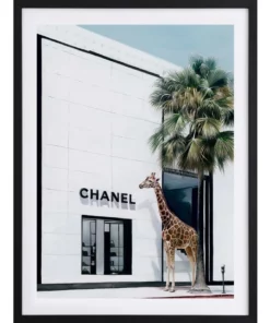 Urban Road Rodeo Drive Black Frame