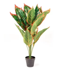 Cooper & Co. 65cm Faux Dieffenbachia