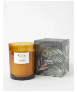 Darren Palmer Candle 438G - Tropics