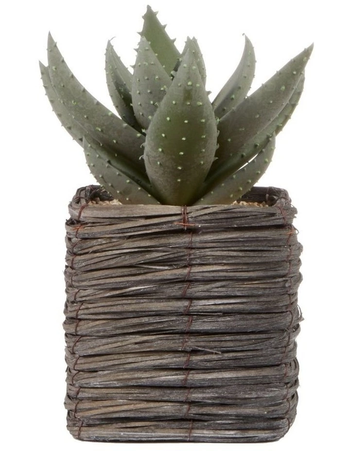 Cooper & Co 29cm Aloe Vera Artificial Plant In Basket 1 Cooper & Co 29cm Aloe Vera Artificial Plant In Basket