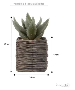 Cooper & Co 29cm Aloe Vera Artificial Plant In Basket 8 Cooper & Co 29cm Aloe Vera Artificial Plant In Basket -Home Decor Shop 827668180 3 720x928