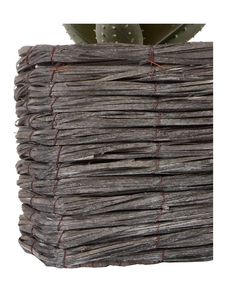 Cooper & Co 29cm Aloe Vera Artificial Plant In Basket 4 Cooper & Co 29cm Aloe Vera Artificial Plant In Basket - Image 4
