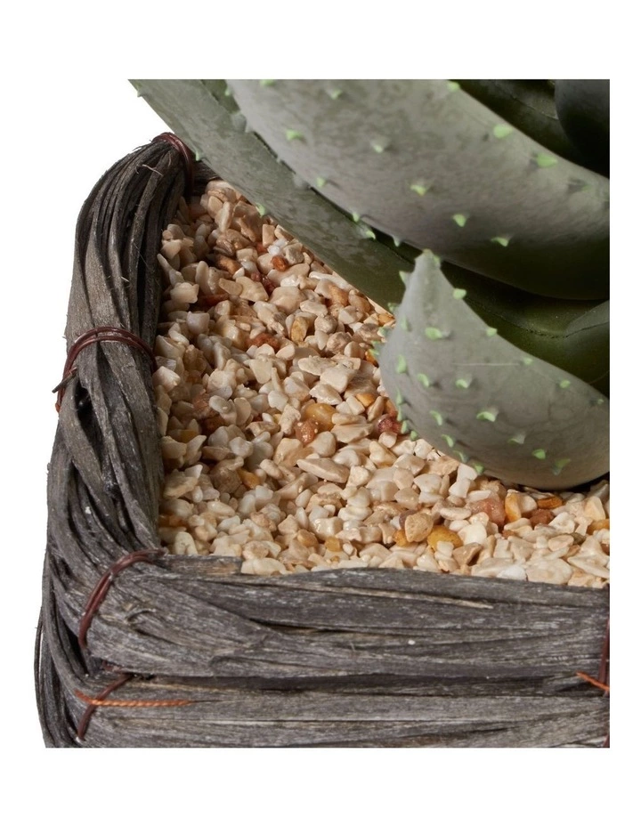 Cooper & Co 29cm Aloe Vera Artificial Plant In Basket 5 Cooper & Co 29cm Aloe Vera Artificial Plant In Basket - Image 5