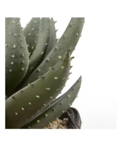 Cooper & Co 29cm Aloe Vera Artificial Plant In Basket 11 Cooper & Co 29cm Aloe Vera Artificial Plant In Basket -Home Decor Shop 827668180 6 720x928