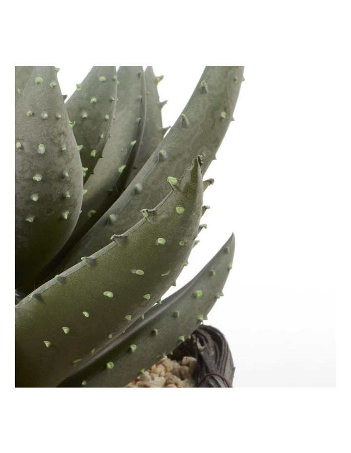 Cooper & Co 29cm Aloe Vera Artificial Plant In Basket 6 Cooper & Co 29cm Aloe Vera Artificial Plant In Basket - Image 6