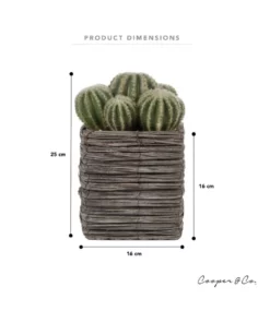 Cooper & Co 25cm Cactus Artificial Plant -Home Decor Shop 827668270 3 720x928