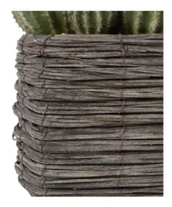 Cooper & Co 25cm Cactus Artificial Plant -Home Decor Shop 827668270 5 720x928