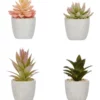 Cooper & Co 16cm Set of 4 Succulents Artificial Plant