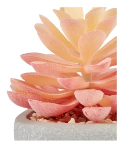 Cooper & Co 16cm Set of 4 Succulents Artificial Plant -Home Decor Shop 827668810 3 720x928