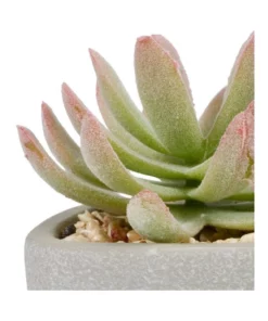 Cooper & Co 16cm Set of 4 Succulents Artificial Plant -Home Decor Shop 827668810 4 720x928