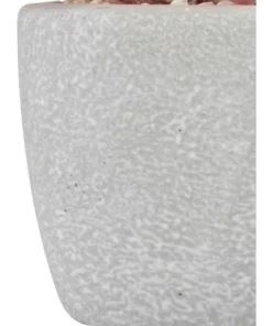 Cooper & Co 16cm Set of 4 Succulents Artificial Plant -Home Decor Shop 827668810 5 720x928