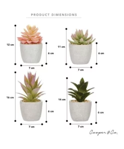Cooper & Co 16cm Set of 4 Succulents Artificial Plant -Home Decor Shop 827668810 6 720x928