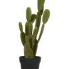 Cooper & Co 55cm Pricky Pear Artificial Plant