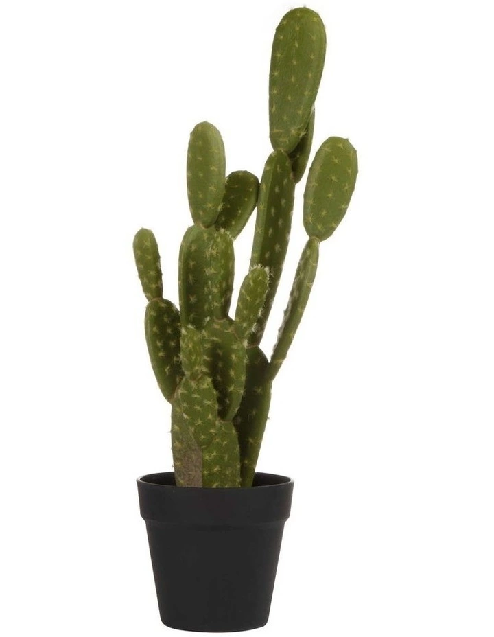 Cooper & Co 55cm Pricky Pear Artificial Plant 1 Cooper & Co 55cm Pricky Pear Artificial Plant