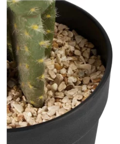 Cooper & Co 55cm Pricky Pear Artificial Plant 9 Cooper & Co 55cm Pricky Pear Artificial Plant -Home Decor Shop 827668900 4 720x928