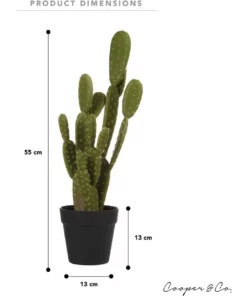 Cooper & Co 55cm Pricky Pear Artificial Plant 11 Cooper & Co 55cm Pricky Pear Artificial Plant -Home Decor Shop 827668900 6 720x928