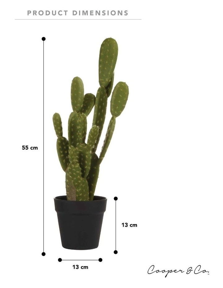 Cooper & Co 55cm Pricky Pear Artificial Plant 6 Cooper & Co 55cm Pricky Pear Artificial Plant - Image 6