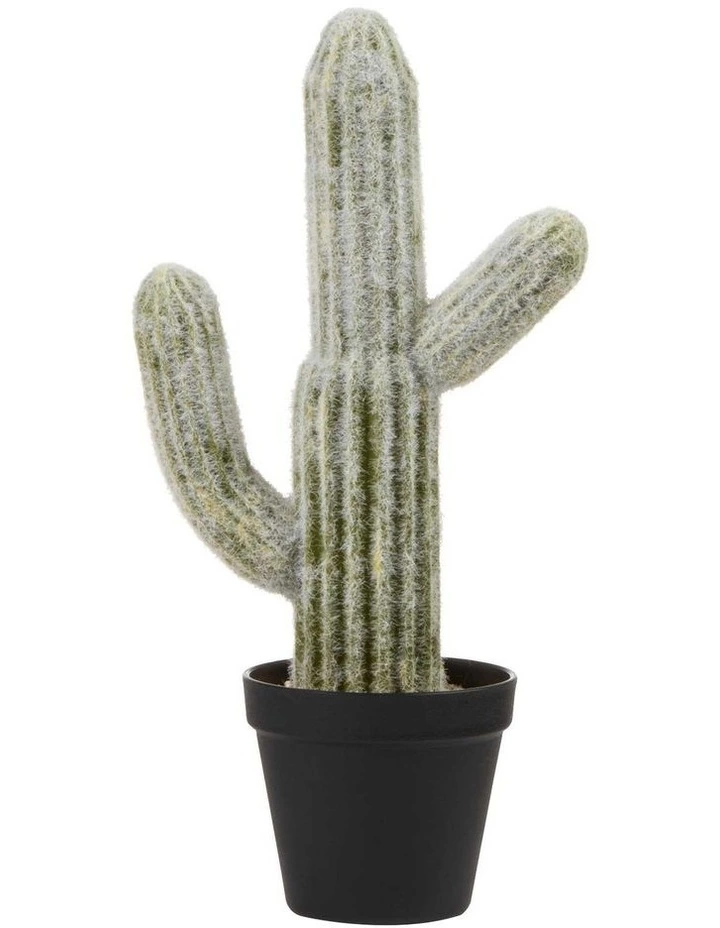 Cooper & Co 41cm Mexican Cactus Artificial Plant 1 Cooper & Co 41cm Mexican Cactus Artificial Plant