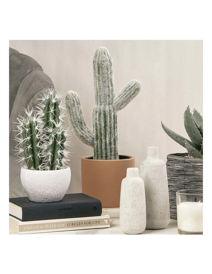 Cooper & Co 41cm Mexican Cactus Artificial Plant 2 Cooper & Co 41cm Mexican Cactus Artificial Plant - Image 2