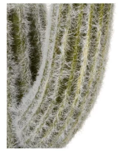 Cooper & Co 41cm Mexican Cactus Artificial Plant 8 Cooper & Co 41cm Mexican Cactus Artificial Plant -Home Decor Shop 827668990 3 720x928