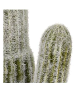 Cooper & Co 41cm Mexican Cactus Artificial Plant 9 Cooper & Co 41cm Mexican Cactus Artificial Plant -Home Decor Shop 827668990 4 720x928