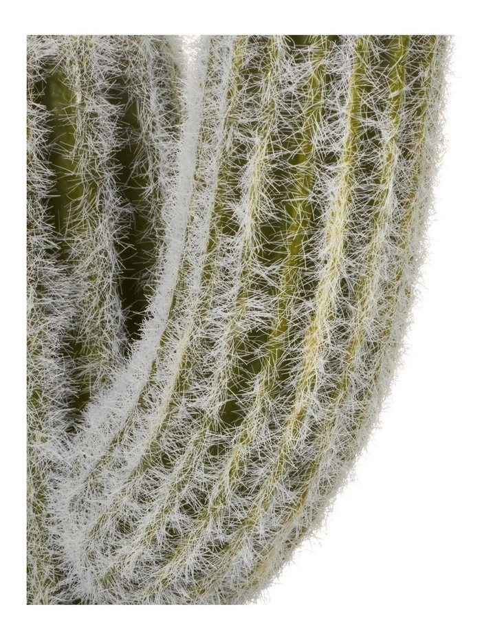 Cooper & Co 41cm Mexican Cactus Artificial Plant 5 Cooper & Co 41cm Mexican Cactus Artificial Plant - Image 5