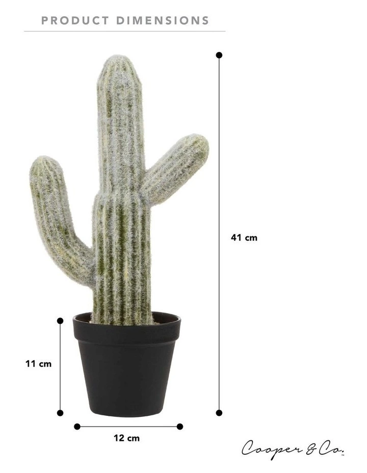 Cooper & Co 41cm Mexican Cactus Artificial Plant 6 Cooper & Co 41cm Mexican Cactus Artificial Plant - Image 6
