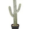 Cooper & Co 61cm Mexican Cactus Artificial Plant