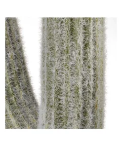 Cooper & Co 61cm Mexican Cactus Artificial Plant -Home Decor Shop 827669080 5 720x928