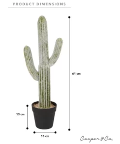 Cooper & Co 61cm Mexican Cactus Artificial Plant -Home Decor Shop 827669080 6 720x928