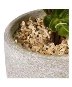 Cooper & Co 40cm Zanzibar Artificial Plant -Home Decor Shop 827669260 4 720x928