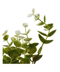 Cooper & Co 40cm Zanzibar Artificial Plant -Home Decor Shop 827669260 5 720x928