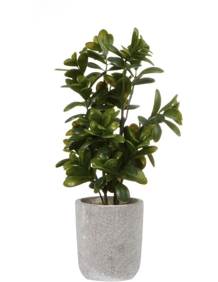 Cooper & Co 40cm Sweet Plum Artificial Plant 1 Cooper & Co 40cm Sweet Plum Artificial Plant