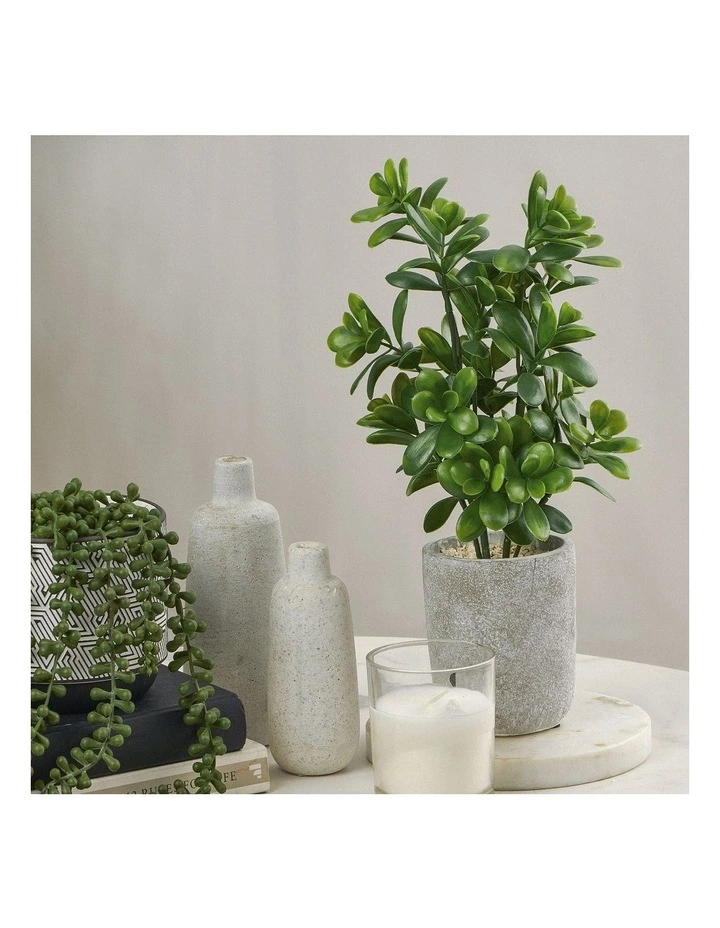 Cooper & Co 40cm Sweet Plum Artificial Plant 2 Cooper & Co 40cm Sweet Plum Artificial Plant - Image 2